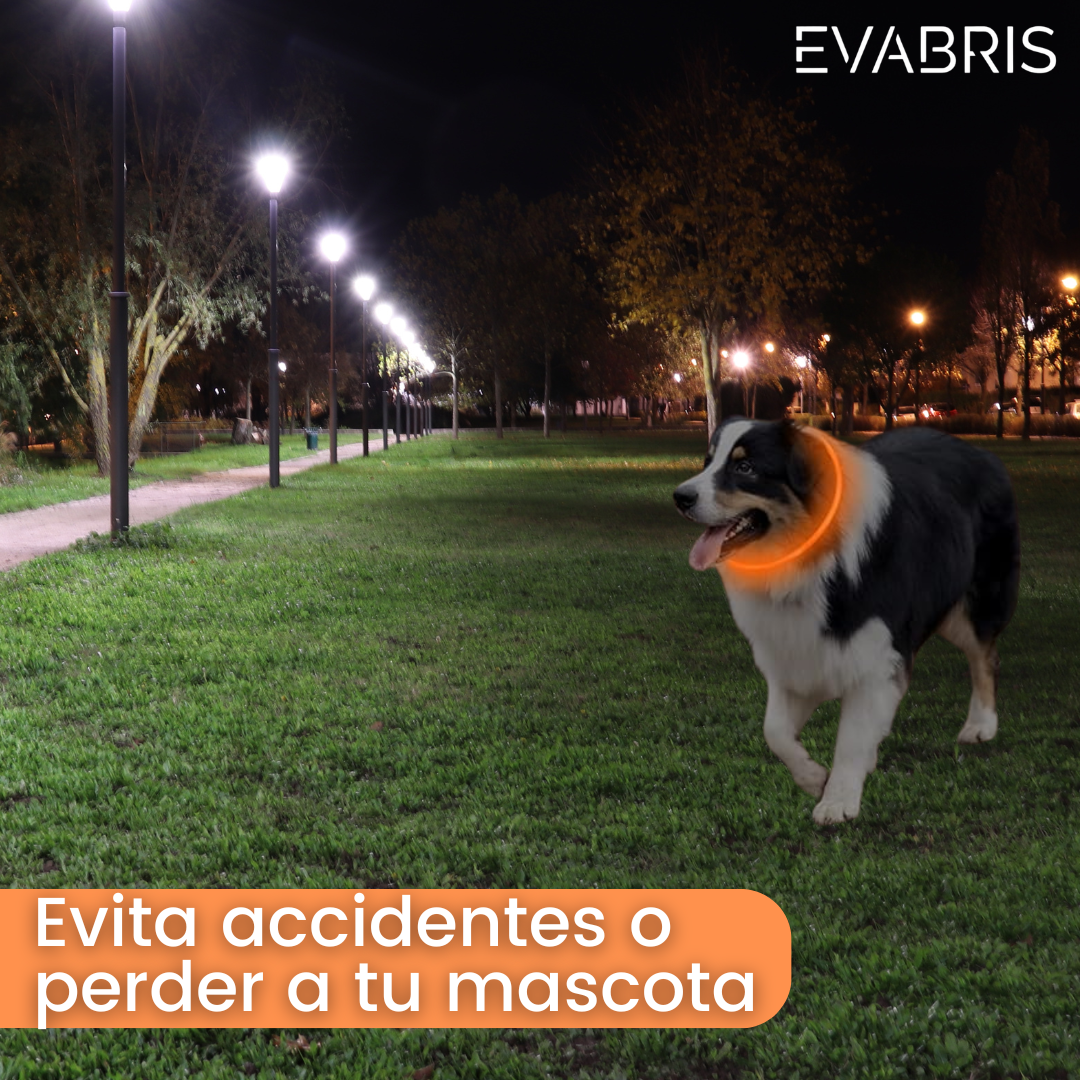 EVABRIS® Collar Luminoso para Perros