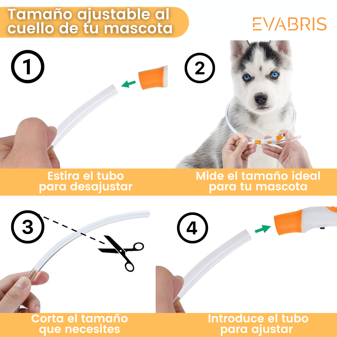 EVABRIS® Collar Luminoso para Perros