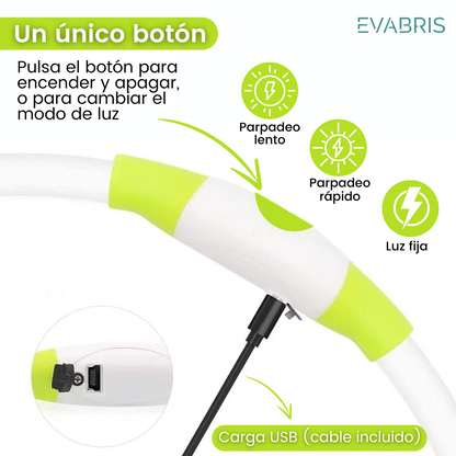 EVABRIS® Collar Luminoso para Perros