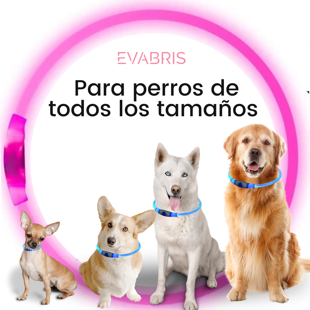 EVABRIS® Collar Luminoso para Perros