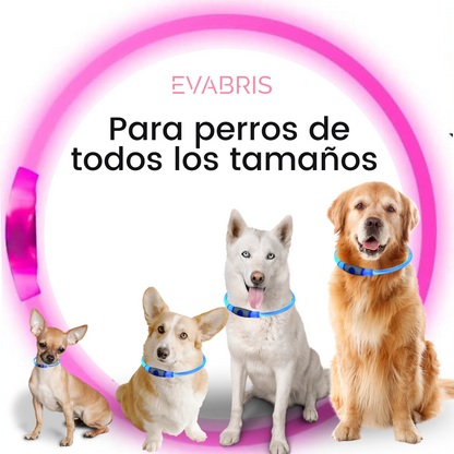 EVABRIS® Collar Luminoso para Perros