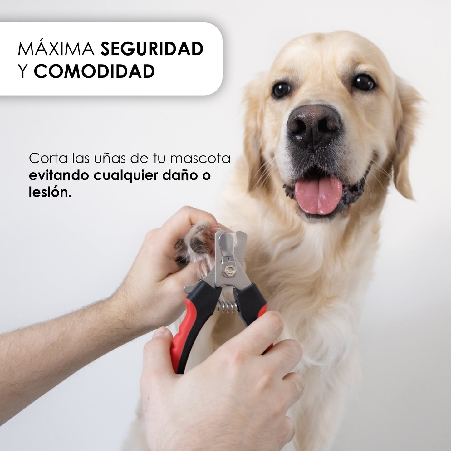 EVABRIS® Cortauñas para Perros y Gatos