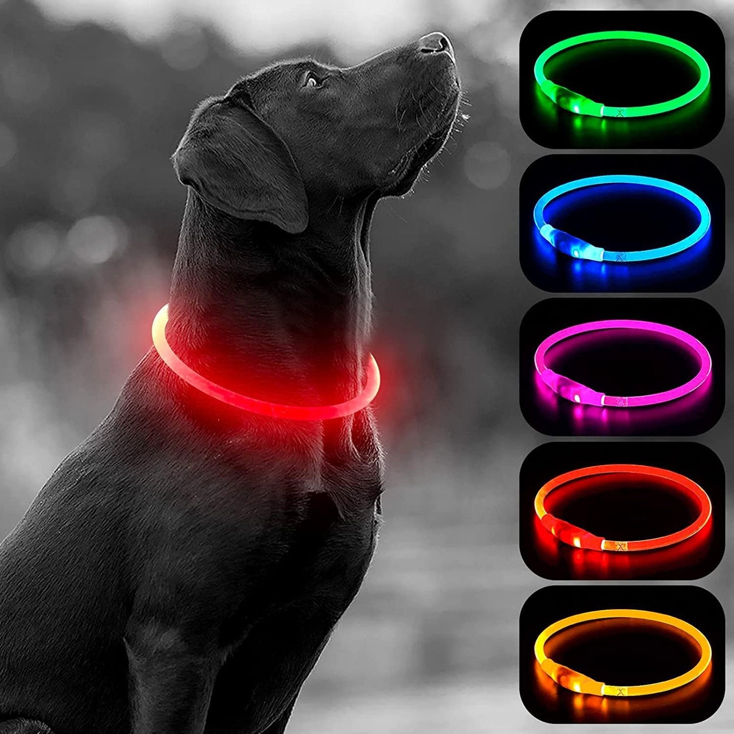 EVABRIS® Collar Luminoso para Perros